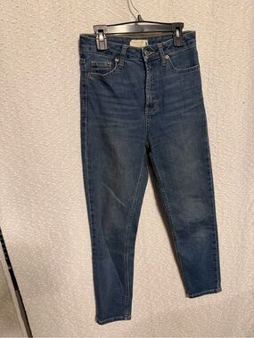 Topshop Orson High Waisted Skinny Jeans